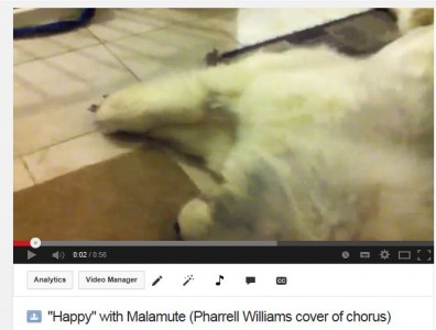 YouTube Video: Malamute is Happy, Annaliesa Rose